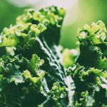 Kale leaves, closeup by Erda Estremera on Unsplash.