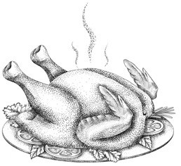 roasted chicken sketch