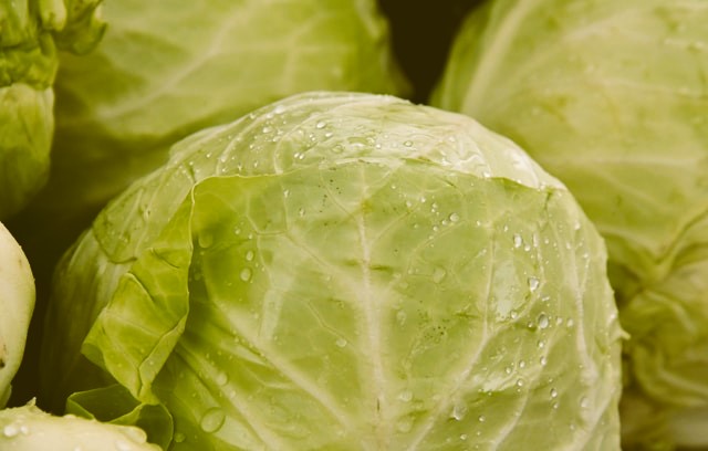 Closeup of heads of green cabbage by Shelley Pauls on Unsplash.
